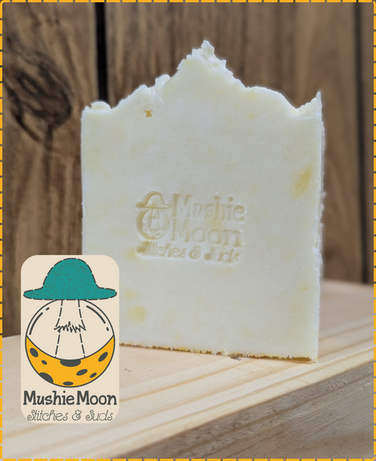Soap of The Month - March '26  - Sunny Sinkside